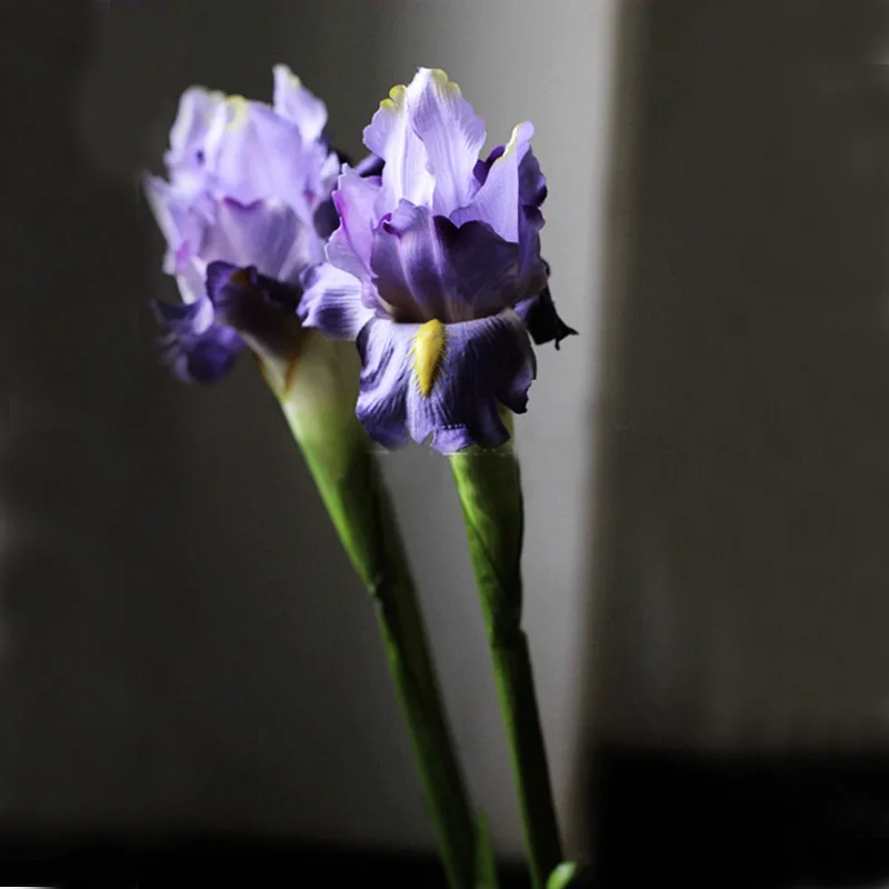 20buc Artificiale Flori False Tesatura de Matase Iris 60cm Fals Flori pentru Decoratiuni de Partid Eveniment Consumabile 9 Culori en-Gros